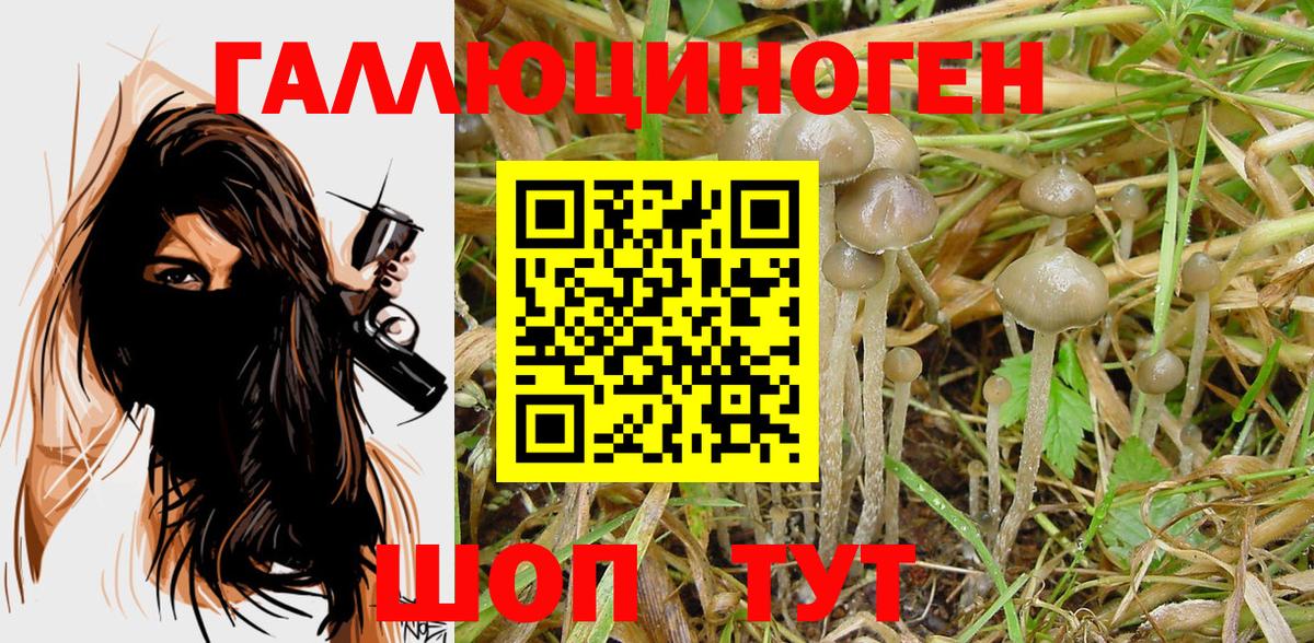 Псилоцибиновые грибы прущие грибы  Вход с VPN  Жигулёвск 