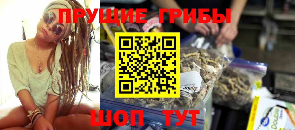 Псилоцибиновые грибы Psilocybe Жигулёвск